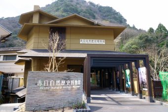 名張の桜・名所別の開花状況（2020年4月3日時点）